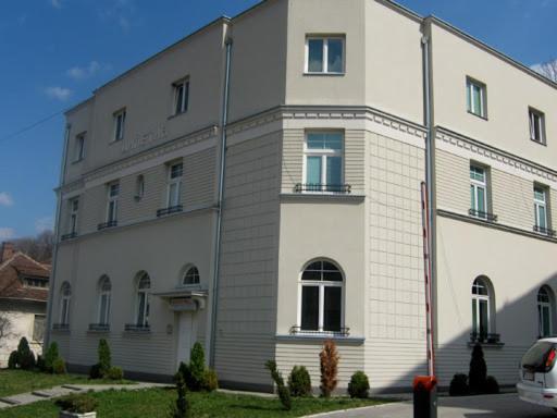 Vila Miletic Врнячка-Баня Екстер'єр фото