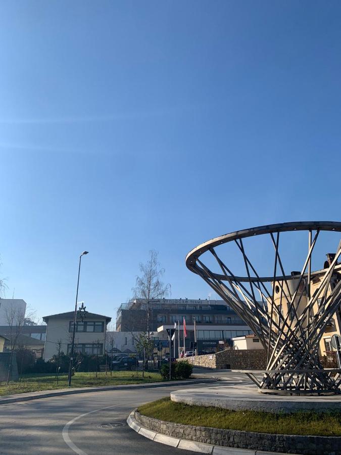 Vila Miletic Врнячка-Баня Екстер'єр фото